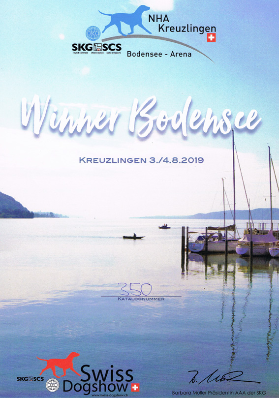 image-9955424-Winner_Bodensee_Latisha-9bf31.jpg